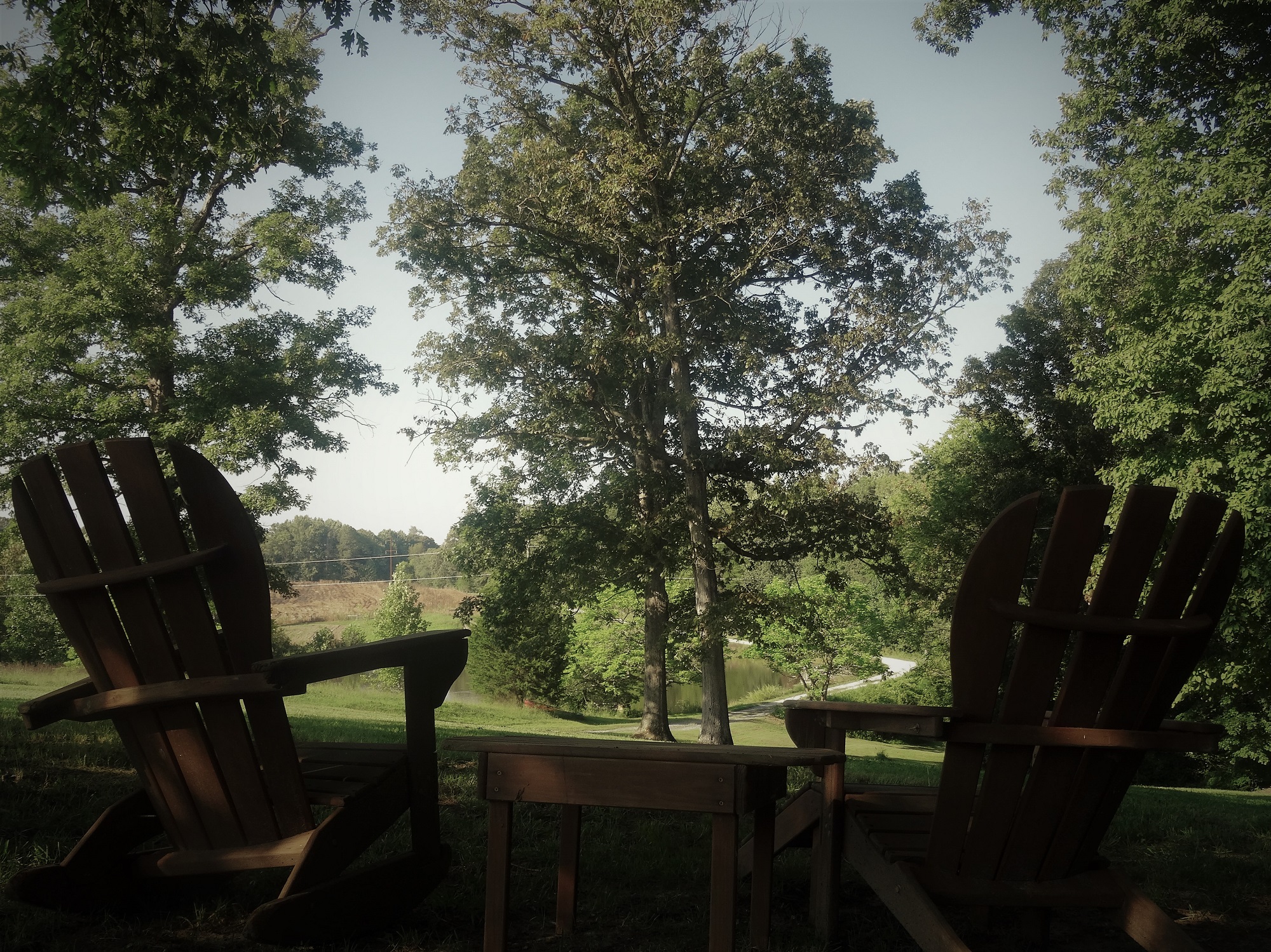 Sycamore grove farm a small working farm in virginia