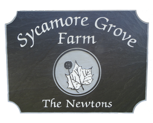 Sycamore Grove Farm | A Small Working Farm in Virginia