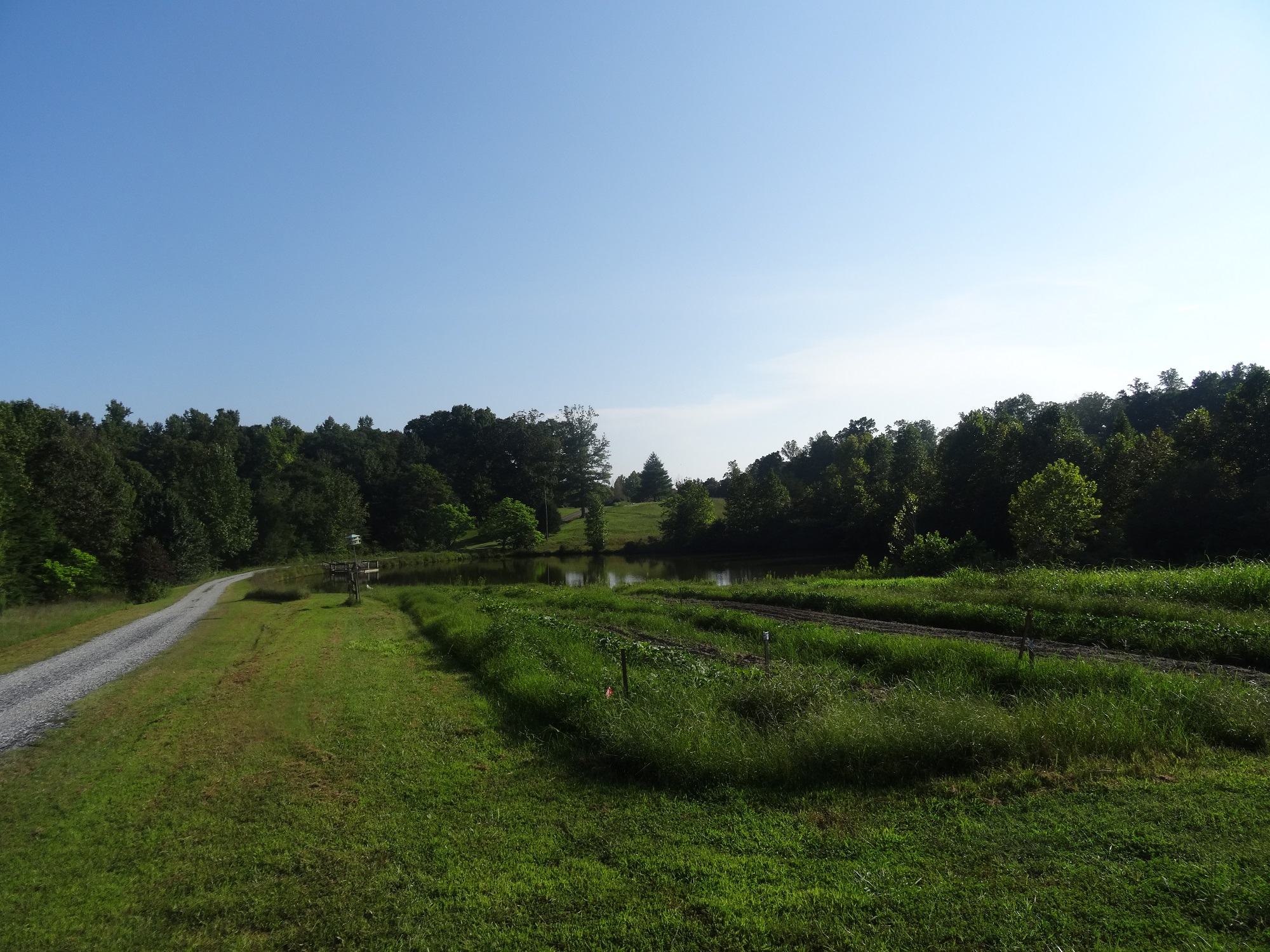 Sycamore Grove Farm | A Small Working Farm in Virginia